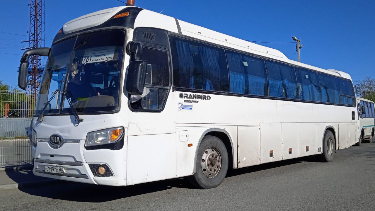 Kia Grandbird